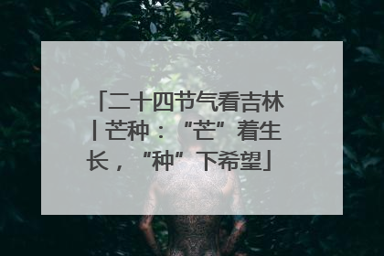 二十四节气看吉林丨芒种：“芒”着生长，“种”下希望
