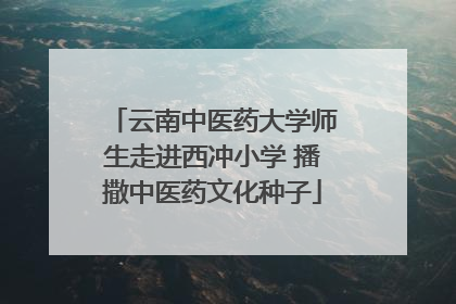 云南中医药大学师生走进西冲小学 播撒中医药文化种子