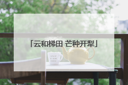 云和梯田 芒种开犁