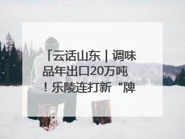 云话山东｜调味品年出口20万吨！乐陵连打新“牌”助力企业出海