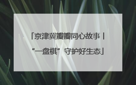 京津冀瓣瓣同心故事丨“一盘棋”守护好生态