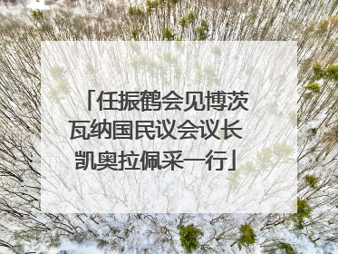 任振鹤会见博茨瓦纳国民议会议长凯奥拉佩采一行
