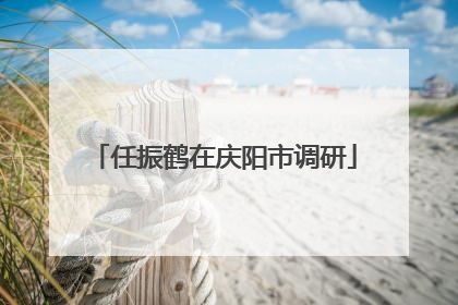 任振鹤在庆阳市调研