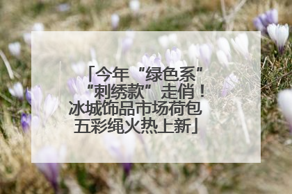 今年“绿色系”“刺绣款”走俏！冰城饰品市场荷包五彩绳火热上新