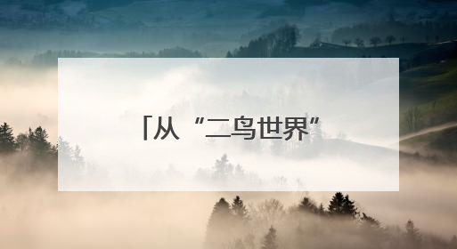 从“二鸟世界”到“五口之家” 一对东方白鹳的黄河口之恋