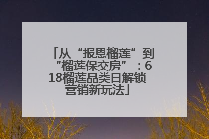 从“报恩榴莲”到“榴莲保交房”：618榴莲品类日解锁营销新玩法