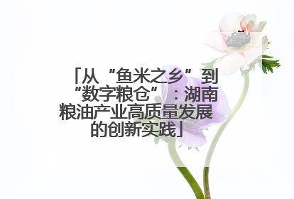 从“鱼米之乡”到“数字粮仓”：湖南粮油产业高质量发展的创新实践