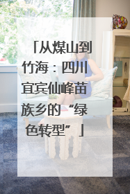 从煤山到竹海：四川宜宾仙峰苗族乡的“绿色转型”