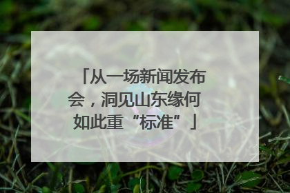 从一场新闻发布会，洞见山东缘何如此重“标准”