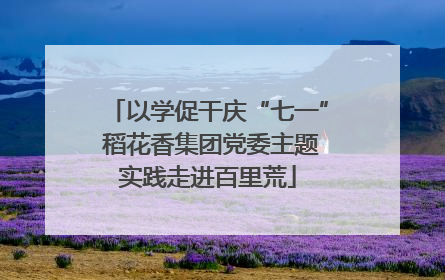 以学促干庆“七一” 稻花香集团党委主题实践走进百里荒