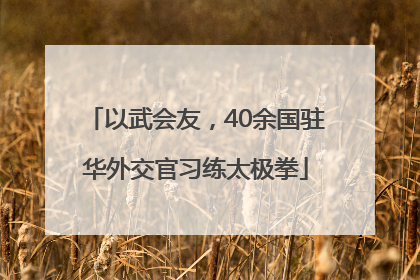 以武会友，40余国驻华外交官习练太极拳