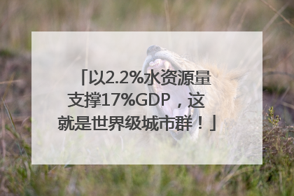 以2.2%水资源量支撑17%GDP，这就是世界级城市群！
