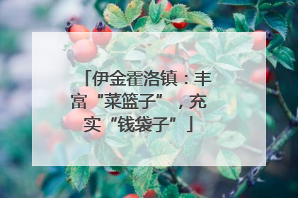 伊金霍洛镇：丰富“菜篮子”，充实“钱袋子”