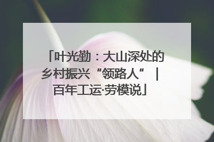 叶光勤：大山深处的乡村振兴“领路人”｜百年工运·劳模说