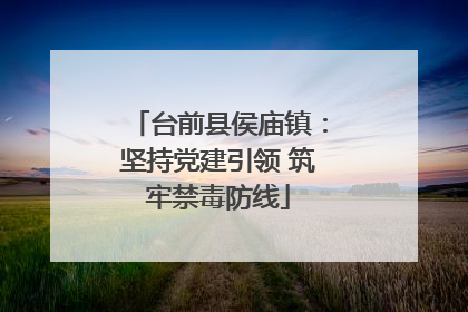 台前县侯庙镇：坚持党建引领 筑牢禁毒防线