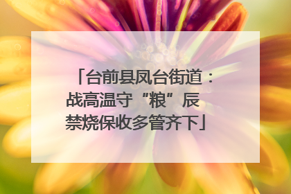 台前县凤台街道：战高温守“粮”辰 禁烧保收多管齐下