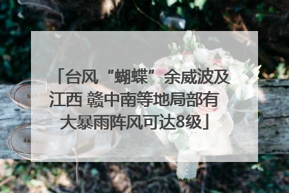 台风“蝴蝶”余威波及江西 赣中南等地局部有大暴雨阵风可达8级