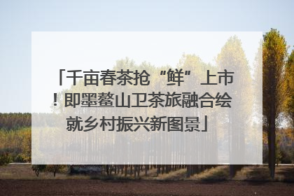 千亩春茶抢“鲜”上市！即墨鳌山卫茶旅融合绘就乡村振兴新图景