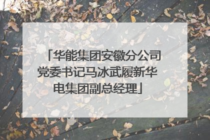 华能集团安徽分公司党委书记马冰武履新华电集团副总经理