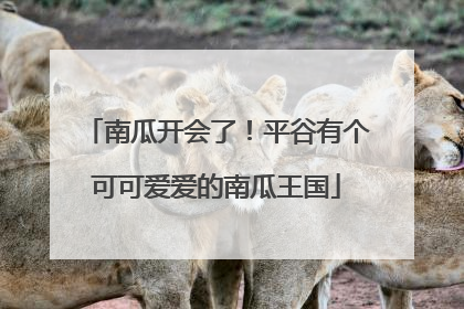 南瓜开会了！平谷有个可可爱爱的南瓜王国