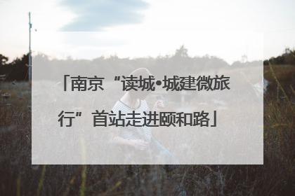 南京“读城•城建微旅行”首站走进颐和路