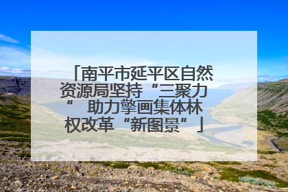 南平市延平区自然资源局坚持“三聚力” 助力擎画集体林权改革“新图景”