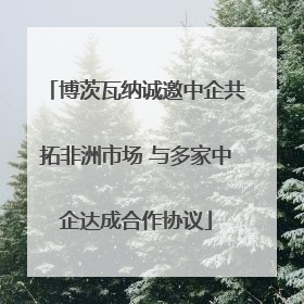 博茨瓦纳诚邀中企共拓非洲市场 与多家中企达成合作协议