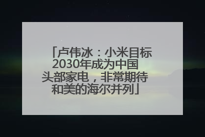 卢伟冰：小米目标2030年成为中国头部家电，非常期待和美的海尔并列