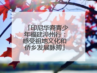 印尼华裔青少年福建漳州行：感受祖地文化和侨乡发展脉搏