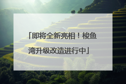 即将全新亮相！梭鱼湾升级改造进行中