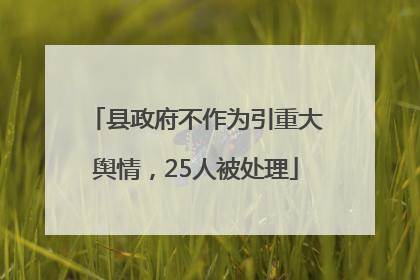 县政府不作为引重大舆情，25人被处理