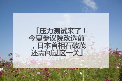 压力测试来了！今夏参议院改选前，日本首相石破茂还需闯过这一关