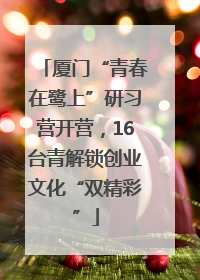 厦门“青春在鹭上”研习营开营，16台青解锁创业文化“双精彩”