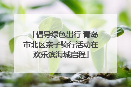 倡导绿色出行 青岛市北区亲子骑行活动在欢乐滨海城启程