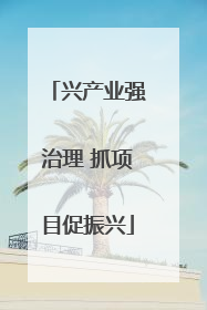 兴产业强治理 抓项目促振兴
