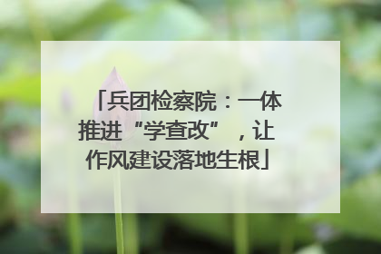 兵团检察院：一体推进“学查改”，让作风建设落地生根