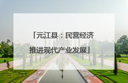 元江县：民营经济推进现代产业发展