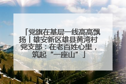 党旗在基层一线高高飘扬丨雄安新区雄县黄湾村党支部：在老百姓心里，筑起“一座山”