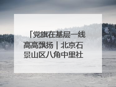 党旗在基层一线高高飘扬｜北京石景山区八角中里社区党委：用脚步丈量民生