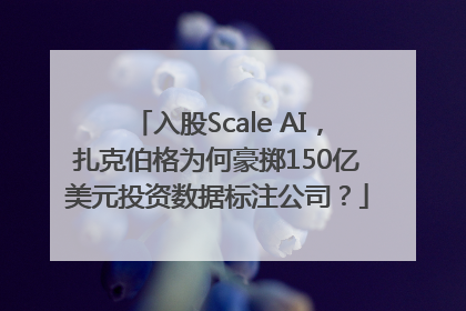 入股Scale AI，扎克伯格为何豪掷150亿美元投资数据标注公司？