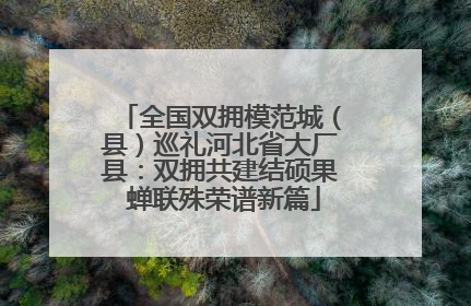 全国双拥模范城（县）巡礼河北省大厂县：双拥共建结硕果 蝉联殊荣谱新篇