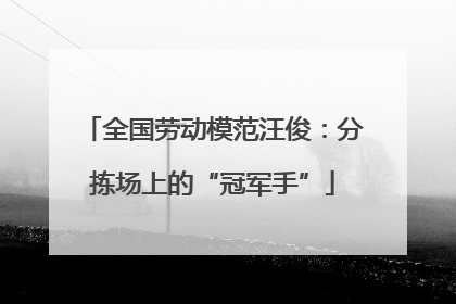 全国劳动模范汪俊：分拣场上的“冠军手”