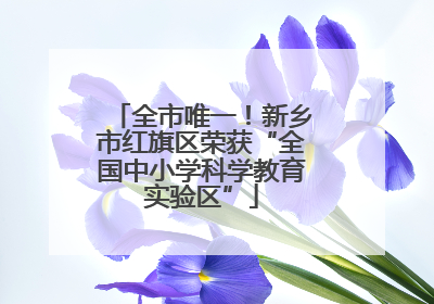 全市唯一！新乡市红旗区荣获“全国中小学科学教育实验区”