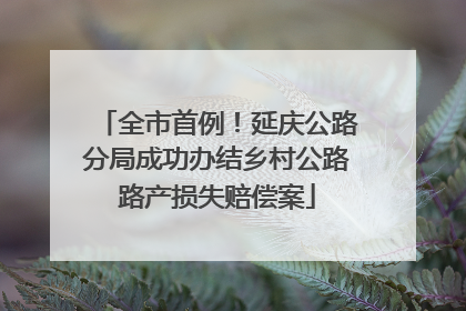 全市首例！延庆公路分局成功办结乡村公路路产损失赔偿案