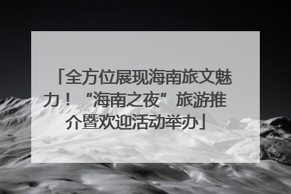 全方位展现海南旅文魅力！“海南之夜”旅游推介暨欢迎活动举办