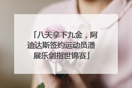 八天拿下九金，阿迪达斯签约运动员潘展乐剑指世锦赛