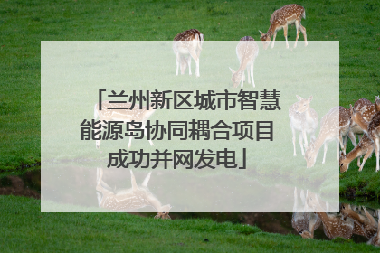 兰州新区城市智慧能源岛协同耦合项目成功并网发电