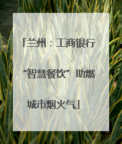 兰州：工商银行“智慧餐饮”助燃城市烟火气