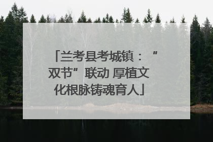 兰考县考城镇：“双节”联动 厚植文化根脉铸魂育人