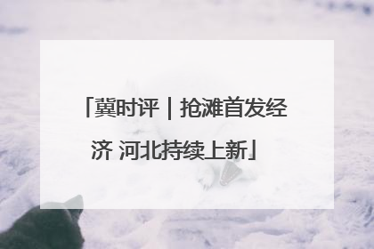 冀时评｜抢滩首发经济 河北持续上新
